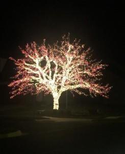 huda novoletna okrasitev