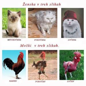zenske in moski v treh slikah