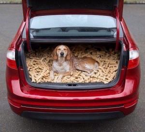 doggy style