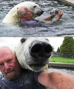 medvedji selfie