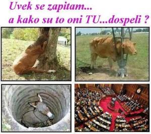 parlament