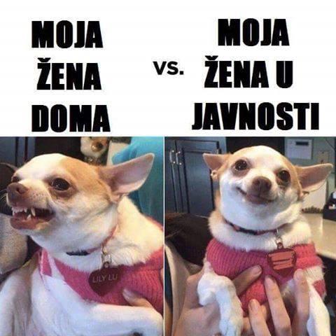 zena doma in v javnosti