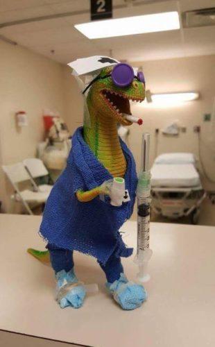 zdravstveni dinozaver