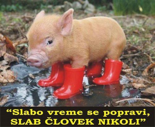 slabo vreme
